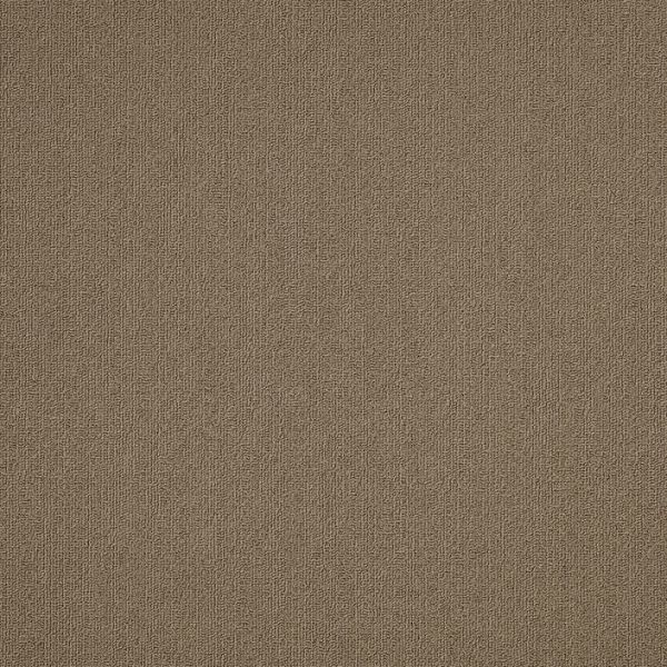 Philadelphia Color Accents 24x24 Portabella Collection
