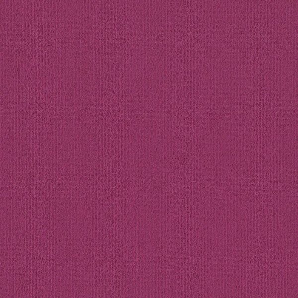 Philadelphia Color Accents 24x24 Calypso Collection