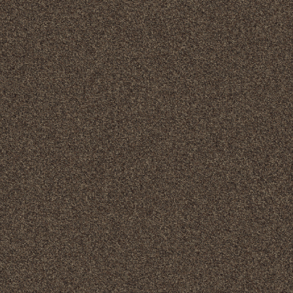 Aladdin Rule Breaker New Stimulus Hickory Collection
