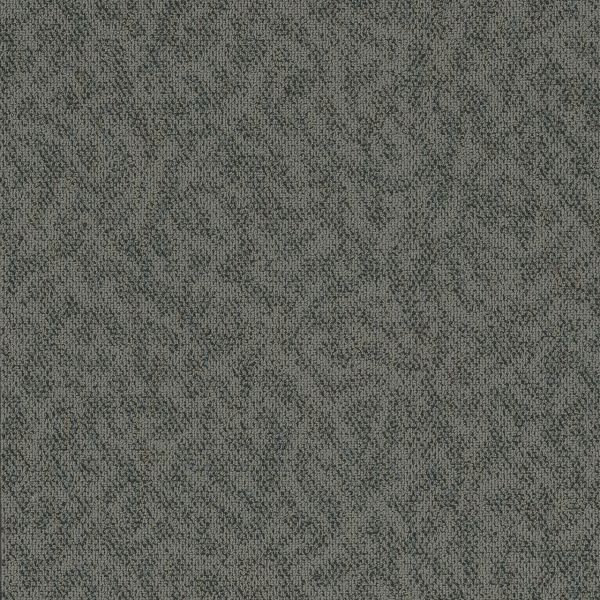 Pentz Animated Lively Collection