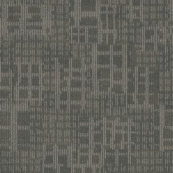 Pentz Techtonic Isp Collection