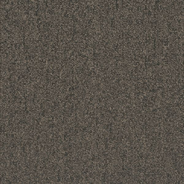 PENTZ VESTIBULE FALLOW Collection