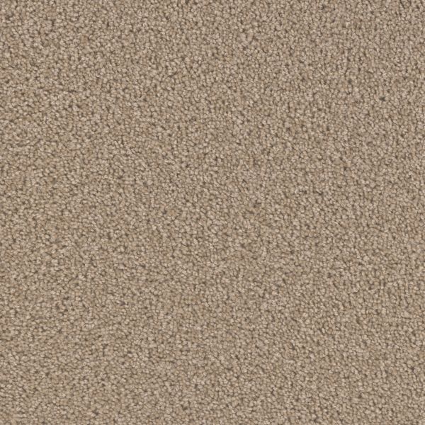 Dream Weaver Broadcast Plus Doeskin Collection