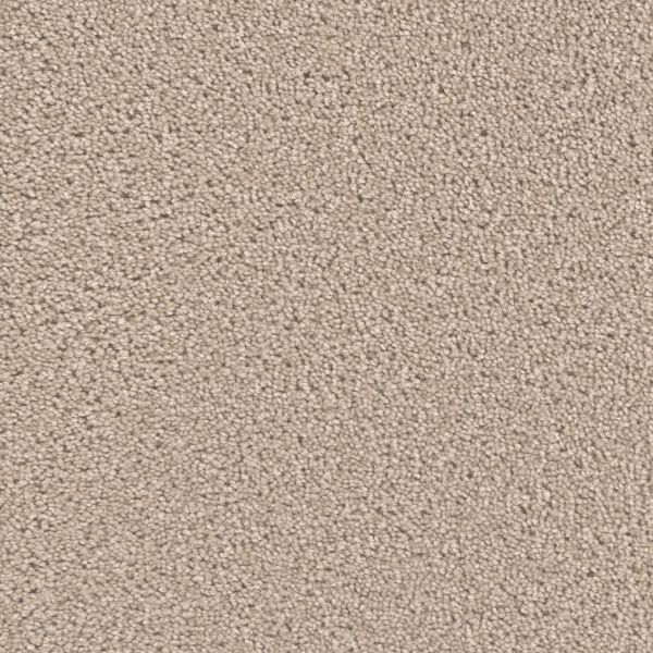 Dream Weaver Broadcast Plus Flax Beige Collection