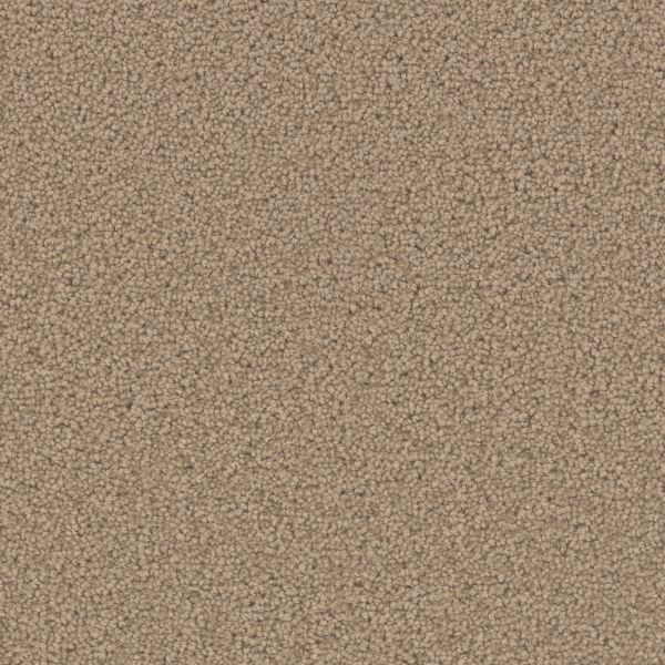 Dream Weaver Broadcast Plus Honey Beige Collection