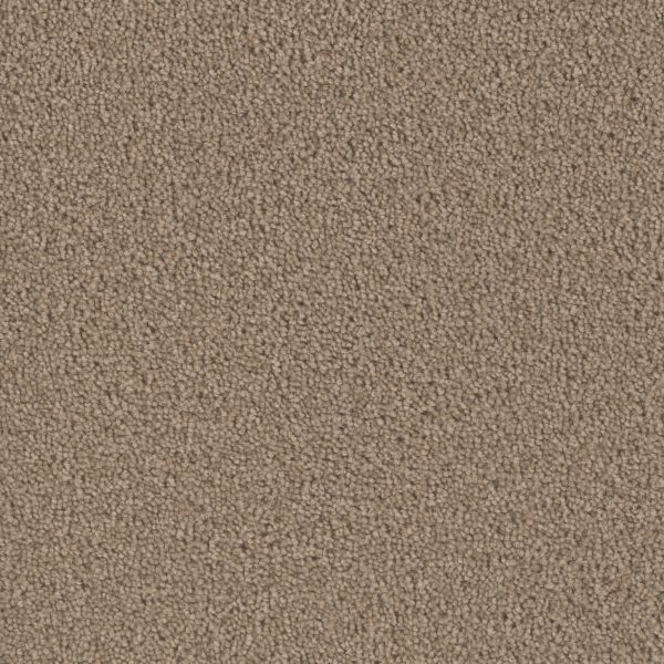 Dream Weaver Broadcast Plus Balsam Collection