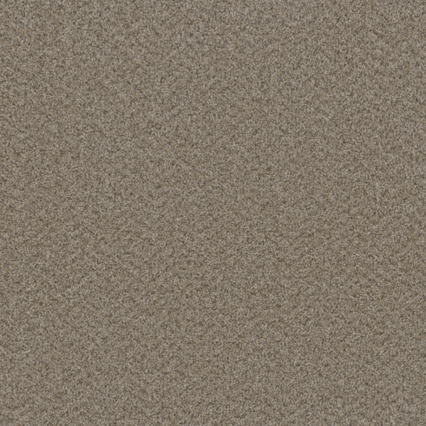 Dream Weaver Broadcast Plus Almond Collection