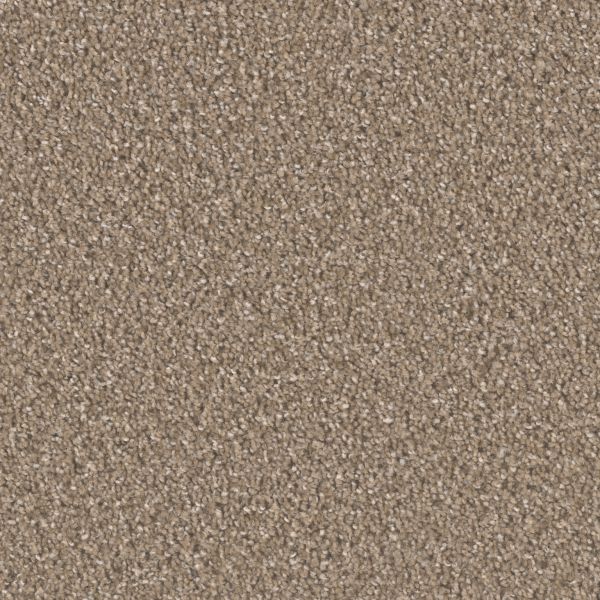 Dream Weaver Broadcast Plus Chestnut Collection