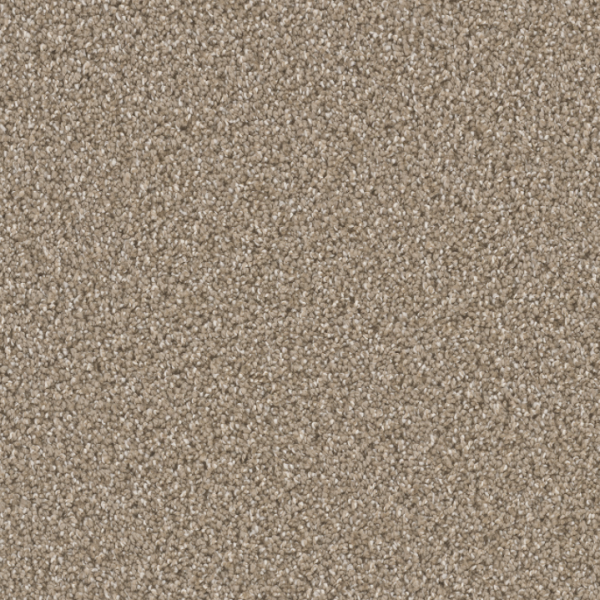 Dream Weaver Can't Miss Acorn Collection