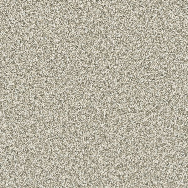 Dream Weaver Dazzling Seashells Collection