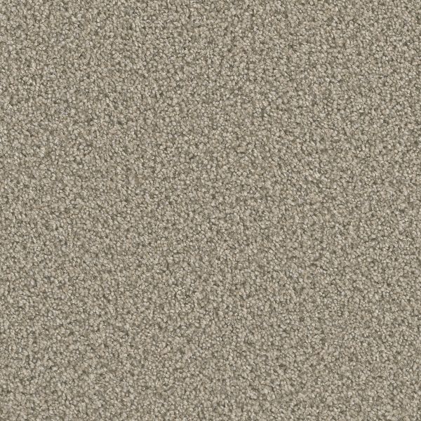 Dream Weaver Dazzling Oxford Collection