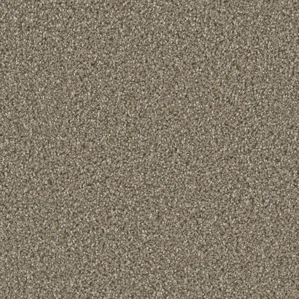 Dream Weaver Dazzling Acorn Collection