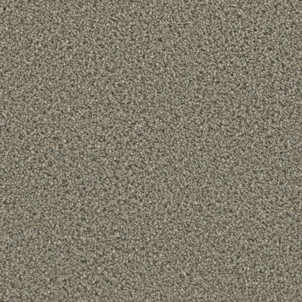 Dream Weaver Dazzling Ash Collection