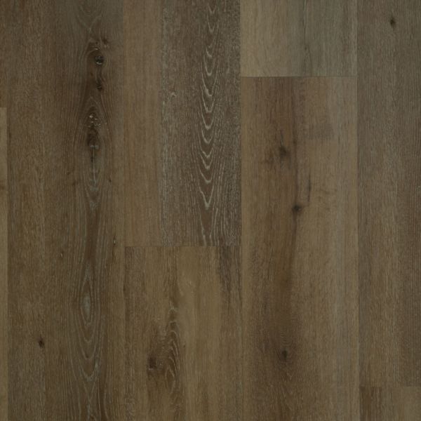 Duchateau Luxetech 20 Luxetech 9" Hyde Collection