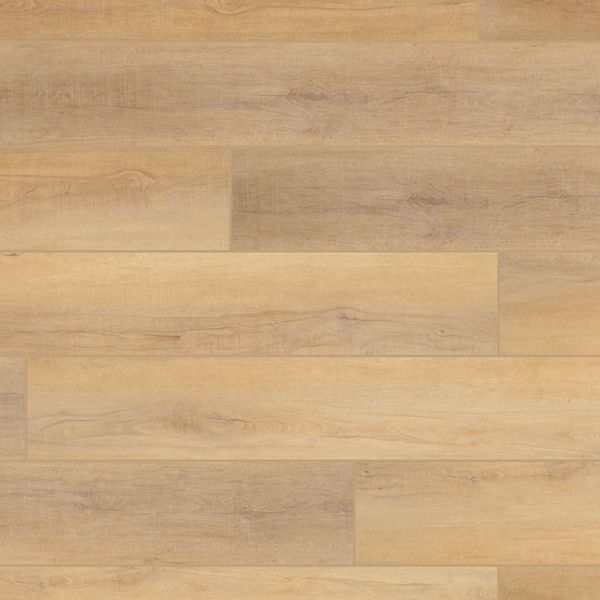 COREtec Pro Canterbury Elm Collection