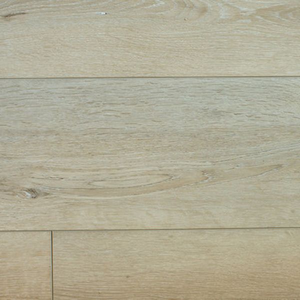 Paradigm Ivory Collection