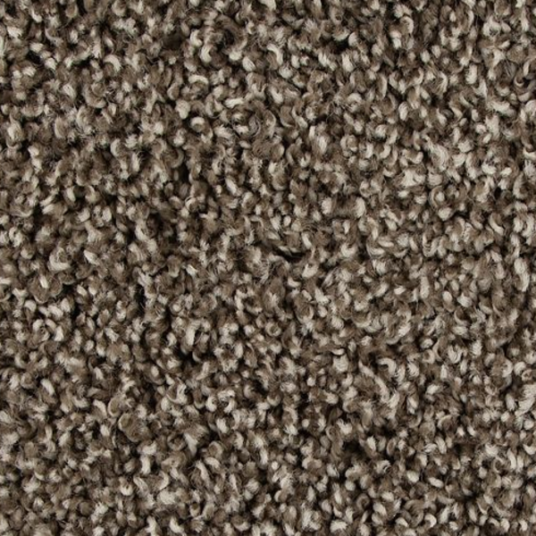 Mohawk Color Fusion II Taupe Whisper Collection