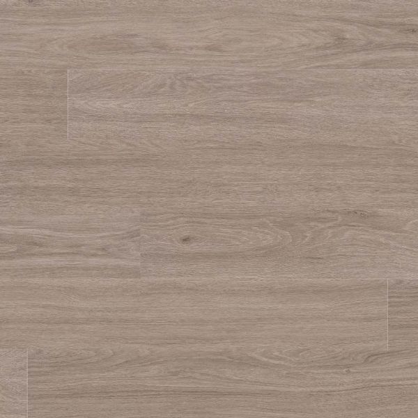 MSI Glenridge Bleached Elm Collection