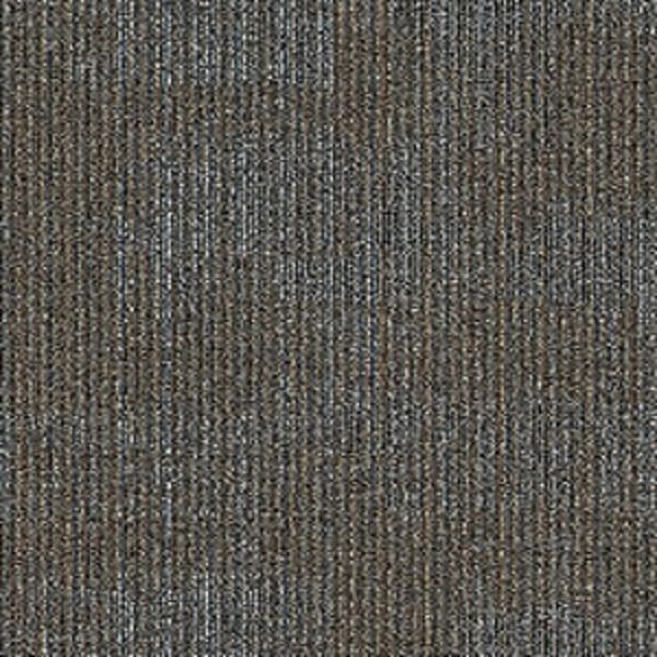Aladdin Pattern Perspective Fission Collection