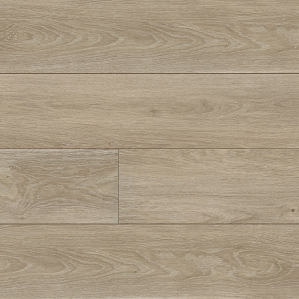 PARADIGM CONQUEST MANOR Collection