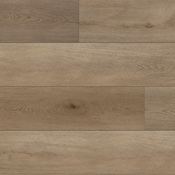 Paradigm Conquest Windsor Collection