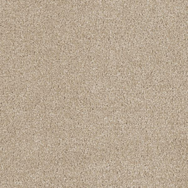 Dream Weaver Hollywood Cashmere Collection