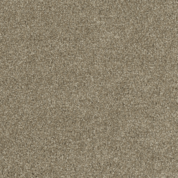 Dream Weaver Hollywood Sienna Sand Collection