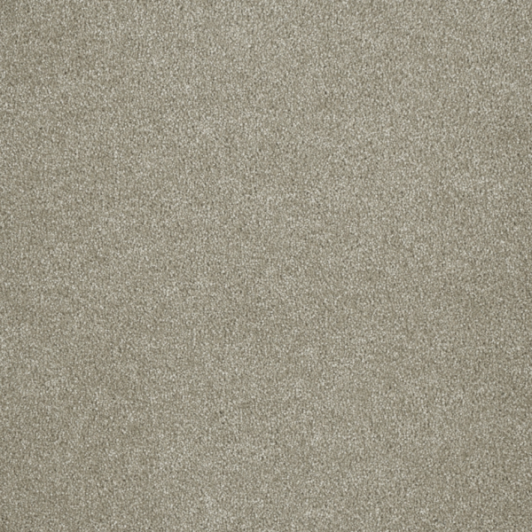 Dream Weaver Malibu I Cottonwood Collection
