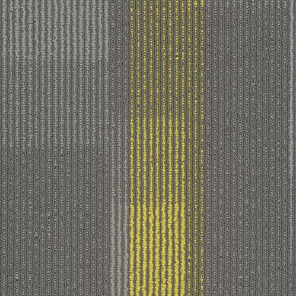 Pentz Amplify Plank Cyber Collection
