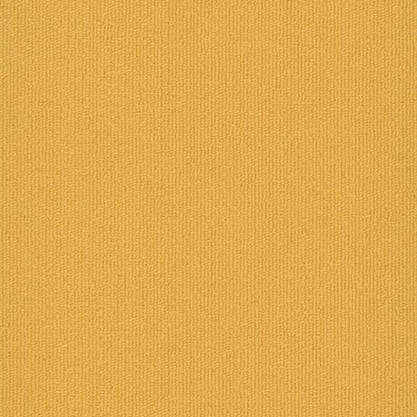 Pentz Colorburst Plank Medallion Collection