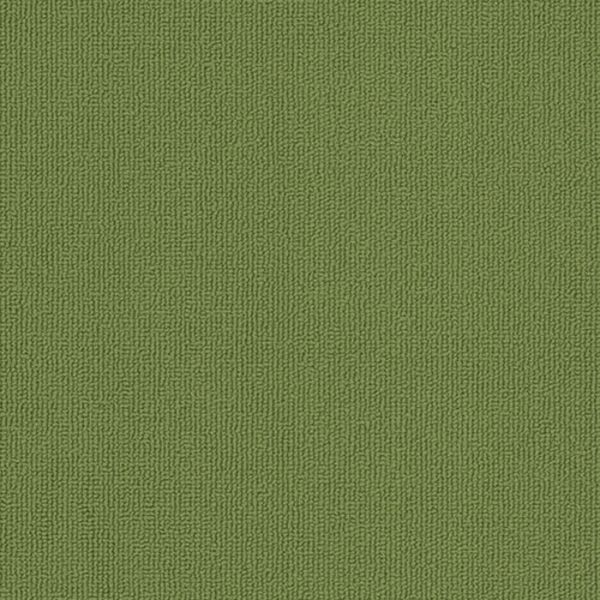 Pentz Colorburst Plank Parrot Collection