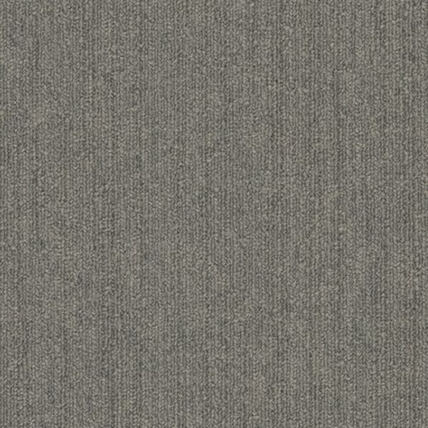 Pentz Colorpoint Plank Fossil Collection