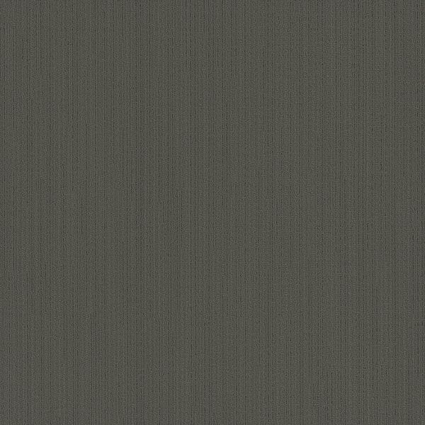 Pentz Colorpoint Tile Tortilla Collection
