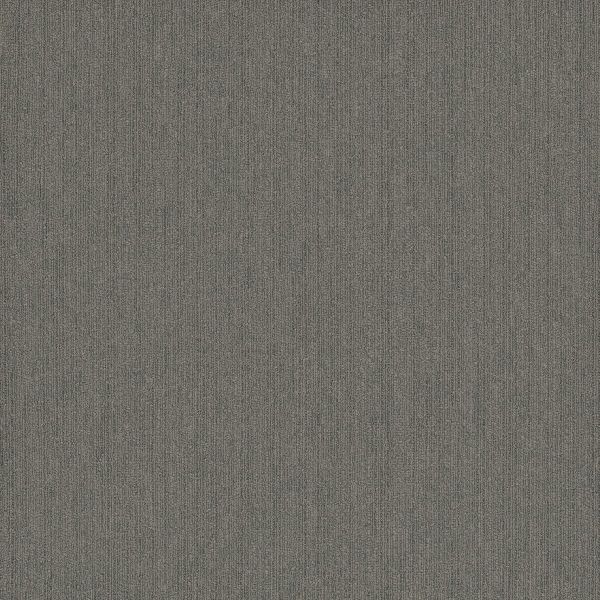 Pentz Colorpoint Tile Fossil Collection