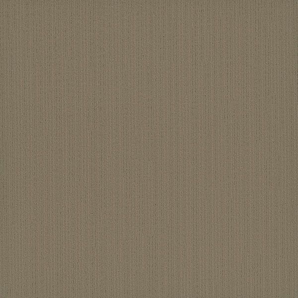Pentz Colorpoint Tile Parchment Collection