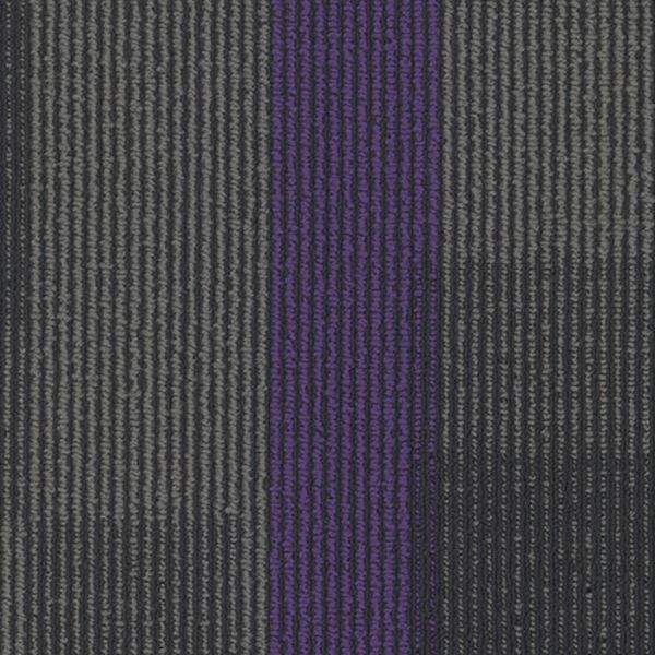 Pentz Magnify Plank Royal Purple Collection