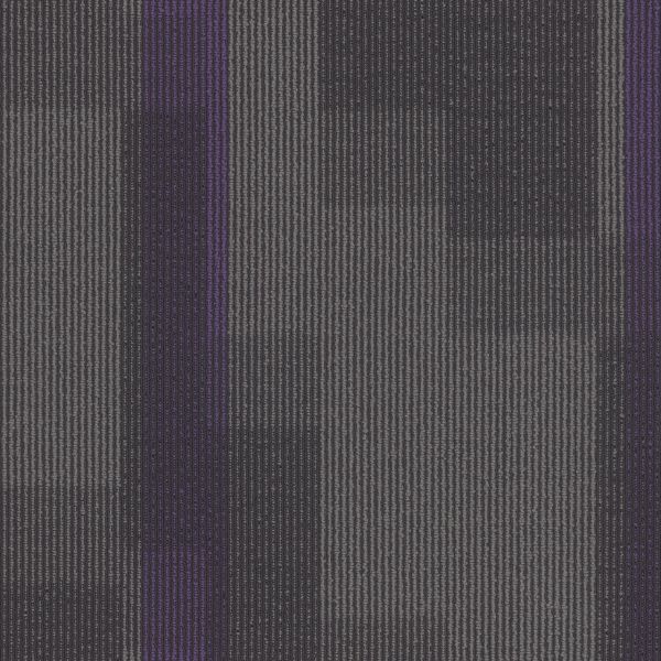 Pentz Magnify Tile Royal Purple Collection
