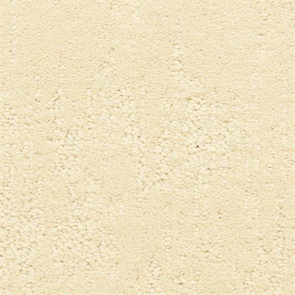 DIXIE CLASSIC DEMEANOR SWEET CORN Collection