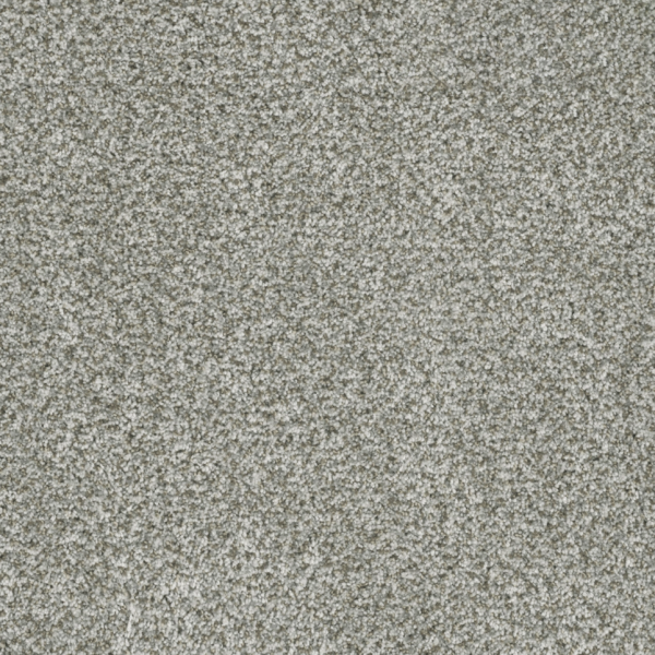 Dream Weaver Brazen I Purity Collection