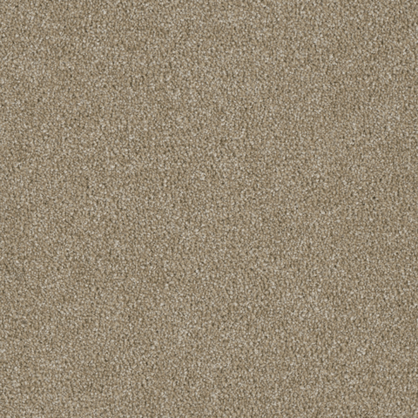 Dream Weaver Luxor I Sawgrass Collection