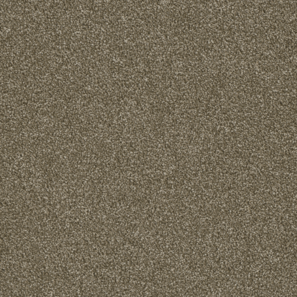 Dream Weaver Luxor II Quail Collection
