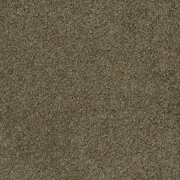 DREAM WEAVER BRAZEN II BRANDYWINE Collection