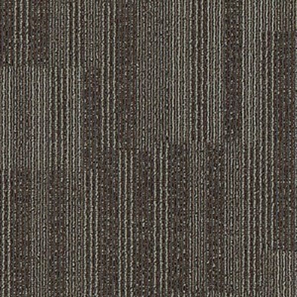 Aladdin Go Forward Timber Bark Collection