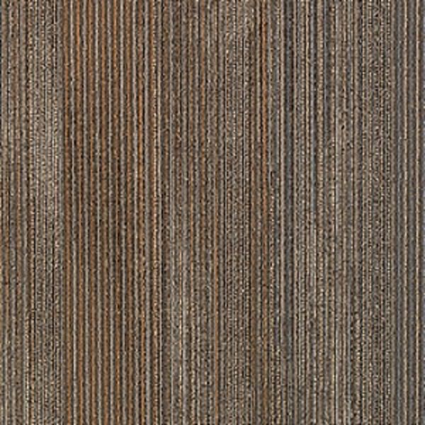 Aladdin Translations Grounded Structure Applied Brilliance Collection