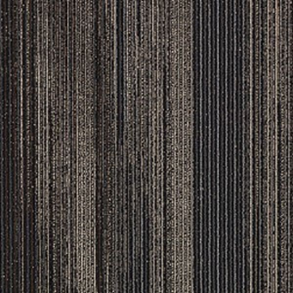 Aladdin Translations Grounded Structure Reflective Symmetry Collection