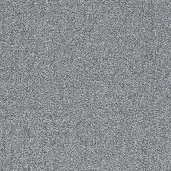 Aladdin Scholarship II Tile Birch Gray Collection