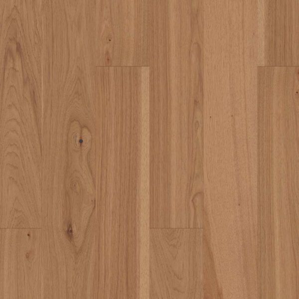 Shaw Epic/Repel Exploration Hickory Dune Collection