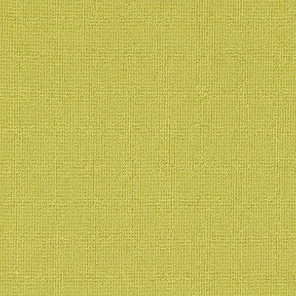 Philadelphia Color Accents 18x36 Limelight Collection