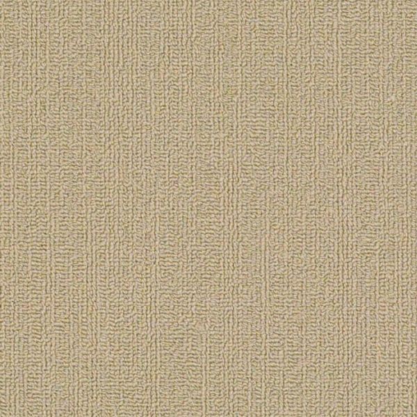 Philadelphia Color Accents 9x36 Cashmere Collection
