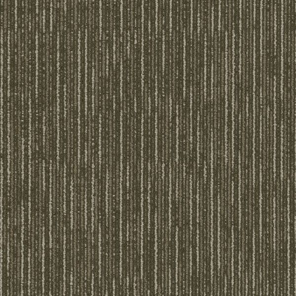Philadelphia The Shape Of Color Line By Line Unity Collection